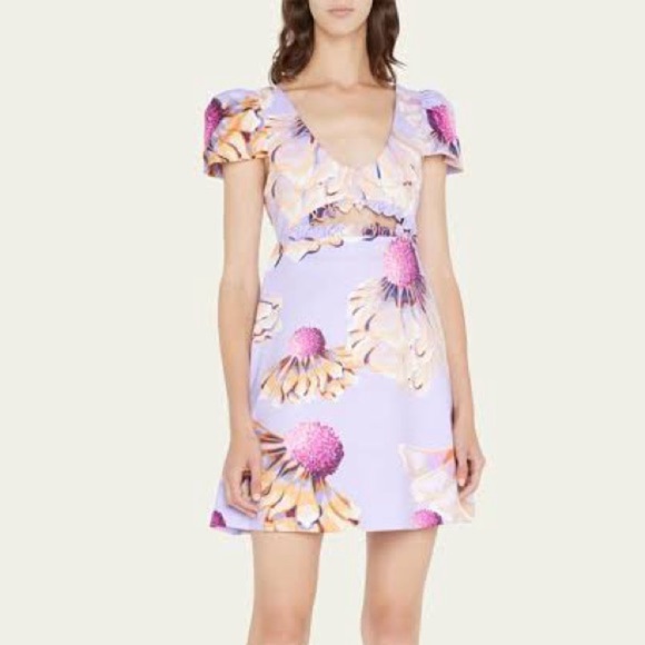 Kika Vargas Dresses & Skirts - Kika Vargas Judith Floral Mini Dress